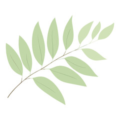 Fototapeta premium Green leaf art illustration vector