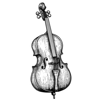 Cello cello black white vector