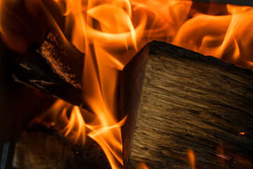炎　焚き火