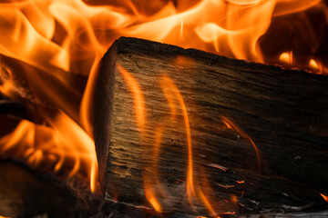 炎　焚き火