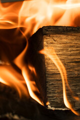 炎　焚き火