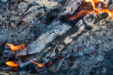 熾火　焚き火