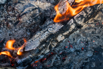 熾火　焚き火