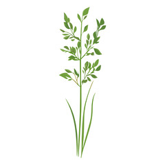 Obraz premium Flat vector of green grass plant leaf art vector