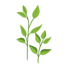 Obraz premium Flat vector of green grass plant leaf illustration vector