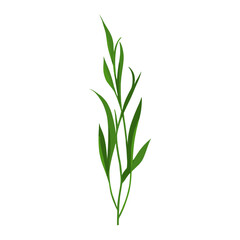 Fototapeta premium Flat vector of green grass plant leaf illustration vector
