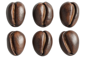 High-Resolution Close-Up Images of Six Dark Roasted Coffee Beans Showing Variations in Shape and Texture