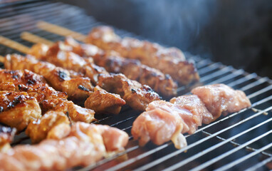 Grilled chicken skewers, seasoned chicken