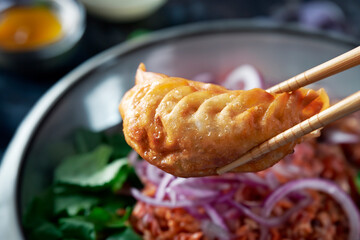 Homemade dumplings on a plate