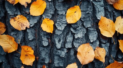Vibrant autumn leaves scattered on a textured tree bark, showcasing nature's seasonal beauty
