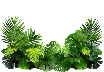 Tropical Lush Green Leaves Border On White Background