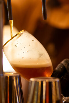 photo bartender - pulling choop of beer in a bar