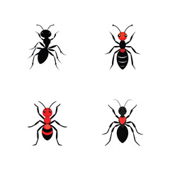 Set of ant vector illustration.