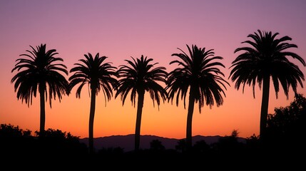 Obraz premium Silhouetted Palm Trees at Sunset Over Mountains