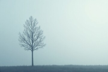 A solitary, leafless tree stands stark against a hazy, muted sky on a misty morning, evoking a sense of serene isolation and winter's quietude.