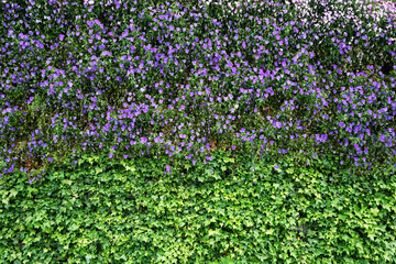 Vibrant Floral and Greenery Wall for Stunning Natural Decor