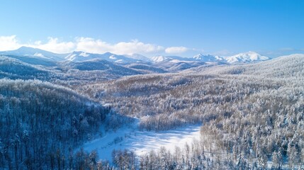 Cold winter landscape with mountains and snow-covered forests