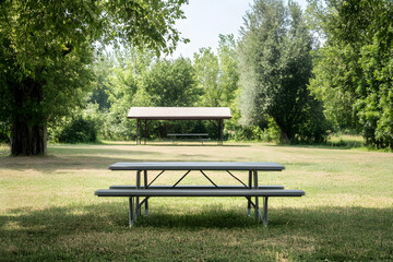 Sun-Dappled Serenity, A Tranquil Picnic Spot Awaits Amidst Lush Greenery, Inviting Moments of Relaxation and Connection with Nature