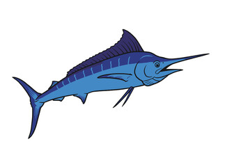 Fototapeta premium Blue marlin illustration art. A detailed blue marlin with a long bill and prominent dorsal fin. Vector art design.