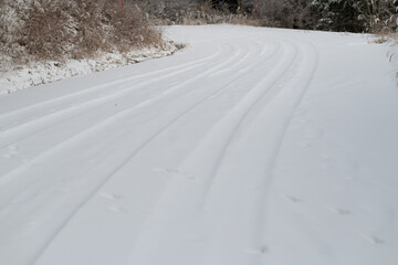 大雪で道路に雪が積もる