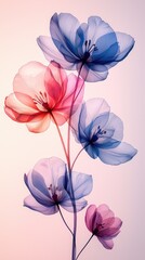 Delicate translucent flowers in soft pastel hues against a gentle gradient background