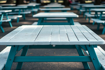 Serene Gathering, Rows of Picnic Tables Invite Outdoor Dining and Relaxation Amidst a Tranquil Park Setting under the Gentle Sunlight