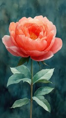 Vibrant coral peony flower blooming against a soft, blurred green background, showcasing nature's beauty