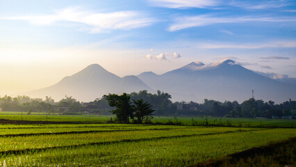 Fototapeta premium sunrise in the mountains with rice fields and blue sky