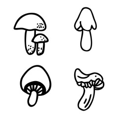 mushrooms as a symbol of natural beauty and fertility
highlighting the graceful structure of fungi as a representation of biological beauty