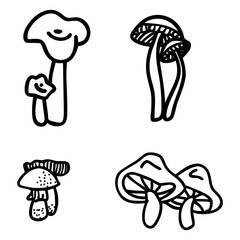 the elegance of mushrooms in representing environmental balance
gives a minimalist impression but is full of meaning in supporting conservation.