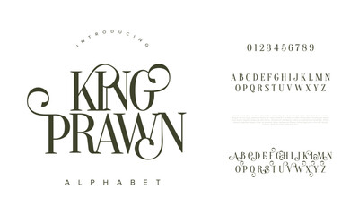 Kingprawn typography beauty fashion elegant minimalist serif italic fonts decorative wedding vintage retro logos. Minimal luxury font alphabet logo. Vector illustration