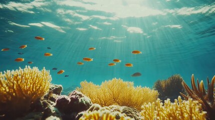 Naklejka premium Colorful coral reef teeming with tropical fish in a clear blue ocean setting. Generative AI