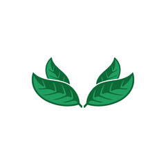 tropical leave frame decoration vector art