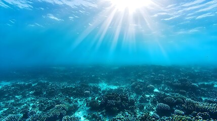 Sunlight Underwater Ocean Floor Scene