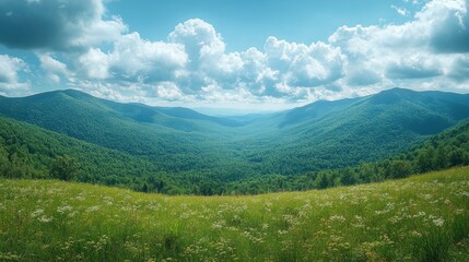 Expansive view of a lush green valley surrounded by mountains under a bright blue sky