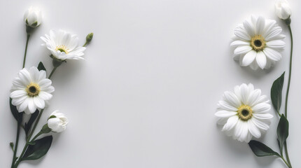 Obraz premium Elegant White Tiny Flowers with Stems Neatly Laid on a Clean White Surface for a Simple and Serene Look Floral Botanical Wallpaper Background