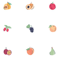 set of fruit vector icons with white background