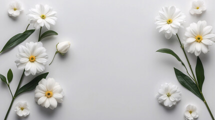 Obraz premium Soft White Flowers with Stems Laid Across a Clean White Background for a Serene and Elegant Display Floral Botanical Wallpaper Background