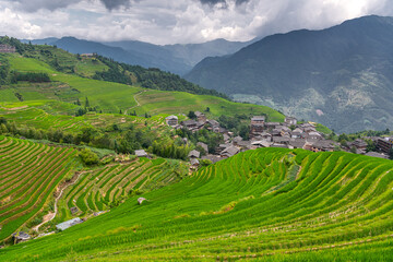 Sunrise view of terraced paddy field and houses of a village against sea of clouds at Longji Rice Terraced Fields