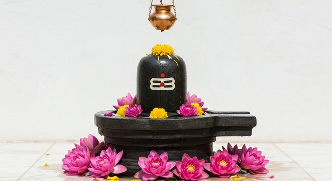 offering puja to Shivlinga or Shivlingam, Jalabhishek Rudrabhishek of Lord Shiva, with water, milk, Ganges water, Hindu religion festival maha shivratri concept 