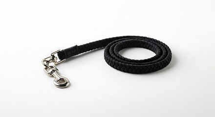 Braided Black Dog Leash with Metal Clasp on White Background