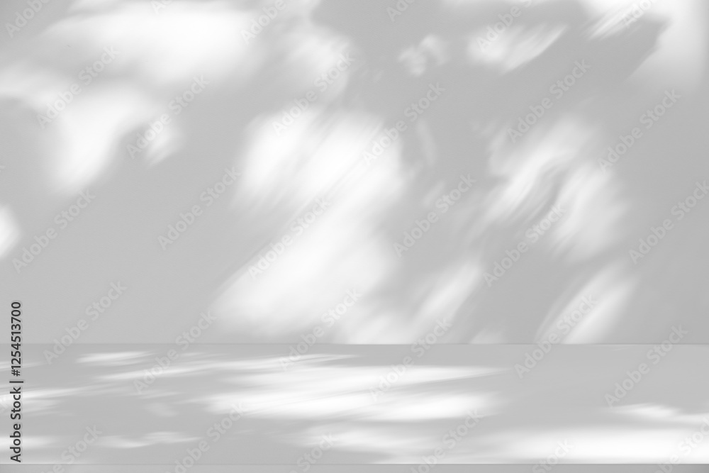 Poster Wall interior background, studio and backdrops show products.with shadow from window color white and grey. background for text insertion and presentation product	