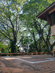 serene outdoor space featuring lush green trees and clear sky, perfect for relaxation and nature appreciation. tranquil environment invites peaceful moments