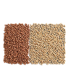 Obraz premium beans on white background 