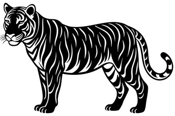 tiger vector illustration