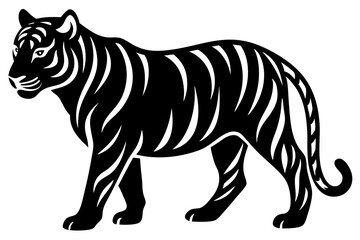 tiger vector illustration