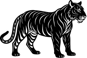 tiger vector illustration