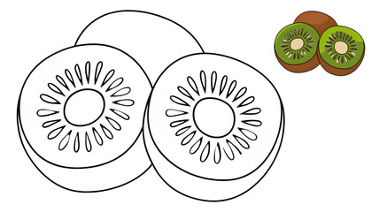 Kiwi fruit coloring page with a colored example in cartoon style for kids' activities, food learning books, and creative fun, isolated on a white background sheet
