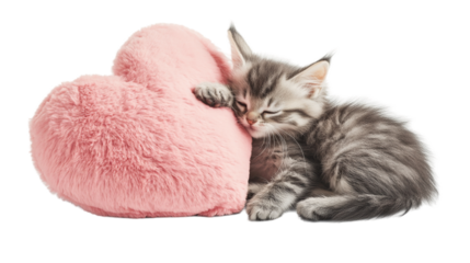 Cute Bunny and Fluffy Kitten Hugging a Plush Heart Pillow – Adorable Pets in Studio Shot, transparent background