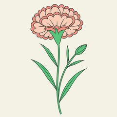 Carnation Flower Icon with Frilly Petals Vector Illustration